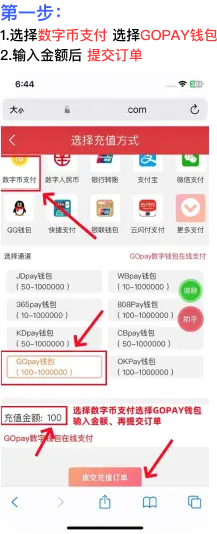 GoPay 平台充值实用说明：到账核验与账户安全