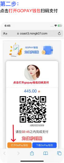 GoPay 平台充值教程:到账核验与账户安全步骤 2